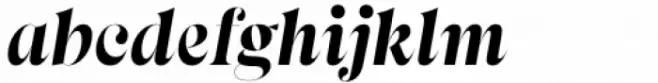Apparel Display Black Italic