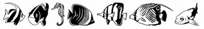 Aqua Life MT