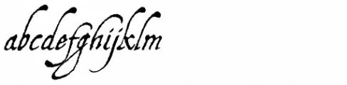 Aquiline