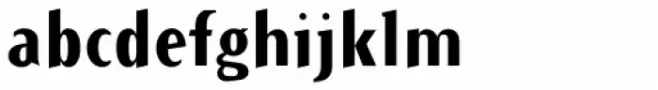 Arbitrary Bold