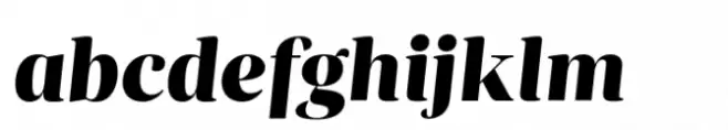 Ardina Title Black Italic
