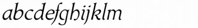 Ardone Book Italic