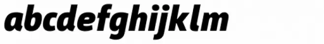 Argumentum Black Italic
