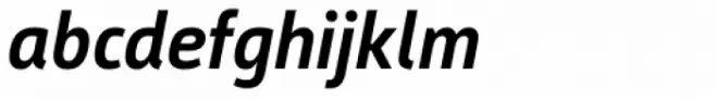 Argumentum Medium Italic