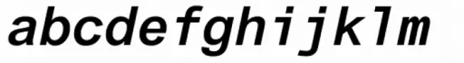 Arial Monospaced MT Bold Oblique