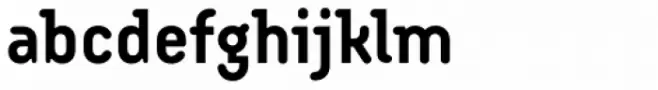 Armature Neue Bold