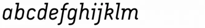 Armature Neue Light Italic
