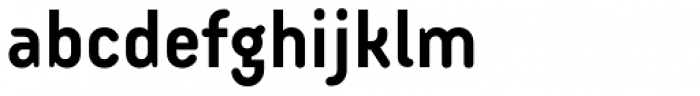 Armature Neue Sans Bold