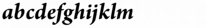 Arno Pro Bold Italic
