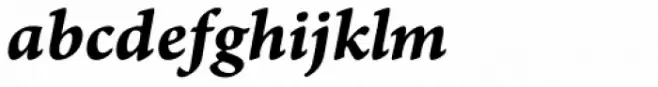 Arno Pro Caption Bold Italic