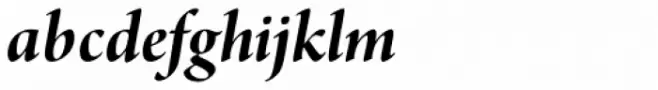 Arno Pro Display Bold Italic