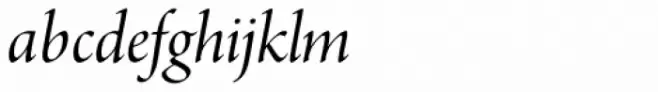 Arno Pro Display Italic