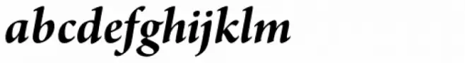 Arno Pro SubHead Bold Italic