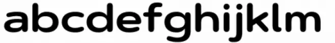 Artegra Soft Extended Bold