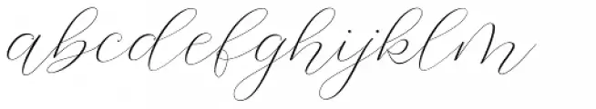 Article Regular
