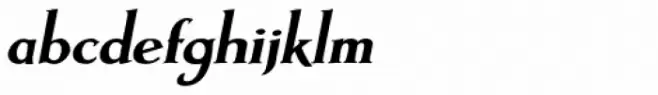 Artimas Black Italic