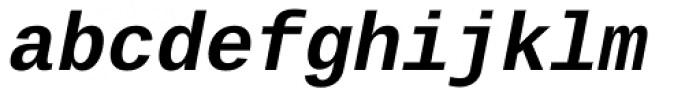 Ascender Sans Mono Bold Italic