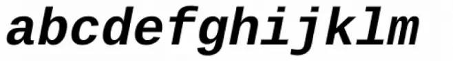 Ascender Sans Mono Bold Italic