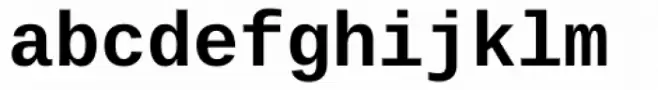 Ascender Sans Mono Bold
