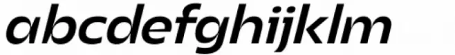 Asgard Fit Medium Italic