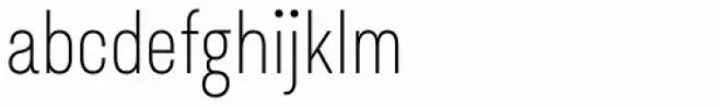 Asket Condensed Thin