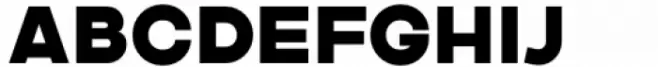 Asparocus Extra Bold