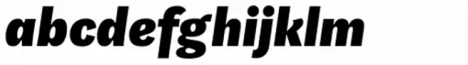 Aspen Black Italic