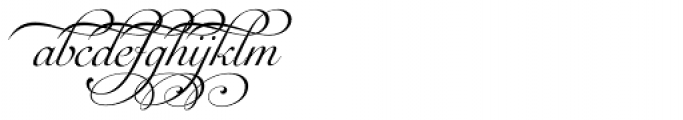 Auberge Script Basic Five