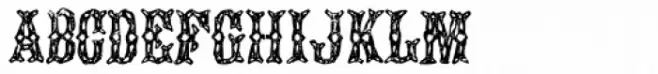 Augustine