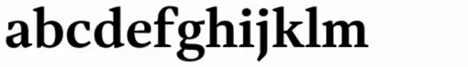 Austera Text Bold