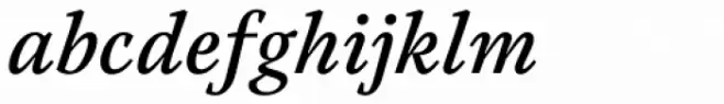 Austera Text Medium Italic