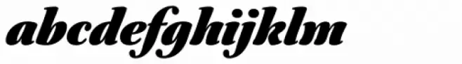 Australis Pro Heavy Italic