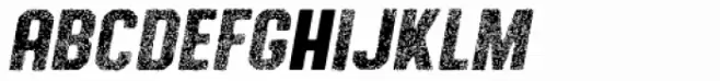 Authority Aged Italic