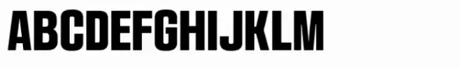 Avilock Bold