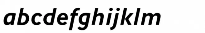 AW Conqueror Std Sans Bold Italic