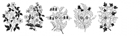 Azalleia Two