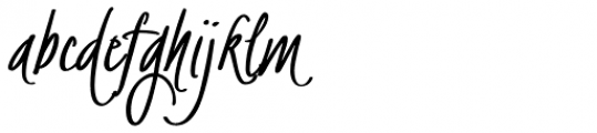 BachelorScript Bold