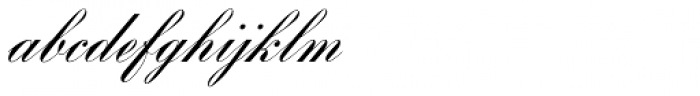 Bank Script SB Regular