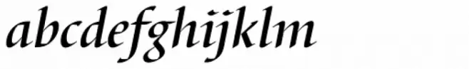 Barbedor Medium Italic