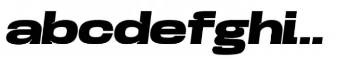 Base Neue Expanded Black Oblique
