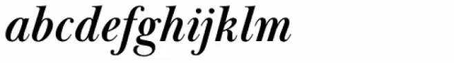 Baskerville Display PT Bold Italic