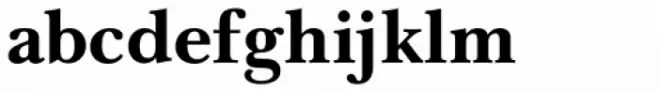 Baskerville LT Cyrilic Cyrillic Bold