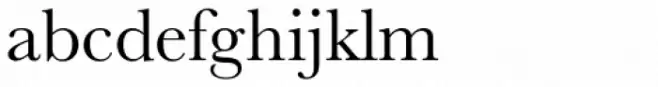 Baskerville Pro Roman