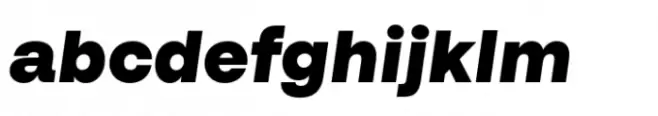 Bassen Black Italic