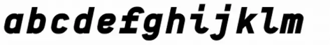 BB Manual Mono Pro Text Super Italic