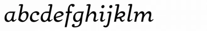 Bear Anark Italic