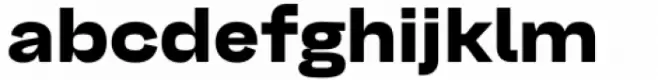 Belfast Grotesk Black