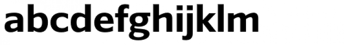 Belle Sans Bold