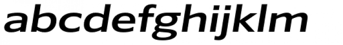 Belle Sans Wide Medium Obl