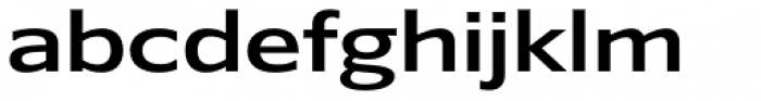 Belle Sans Wide Medium